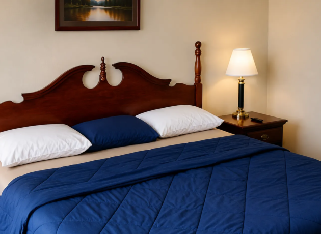 King guest room at Tumbleweed Inn & Suites in Alexander, ND